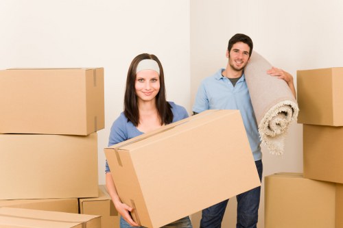 Richmond upon Thames removal company handling boxes and furniture